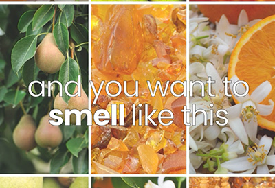 Pink Diamond® Pristine - Smell Like This