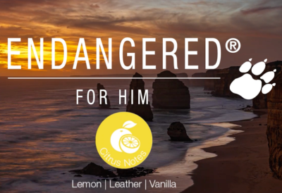 Endangered for Him Youtube Video