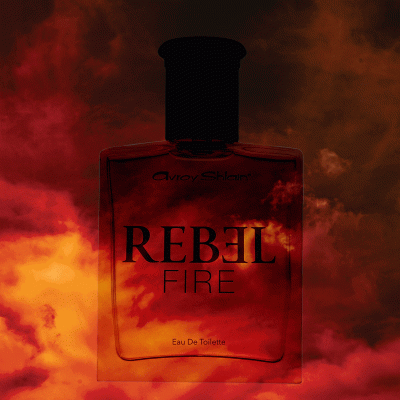 Rebel Fire by Avroy Shlain®