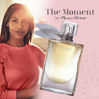 The Moment by Avroy Shlain™