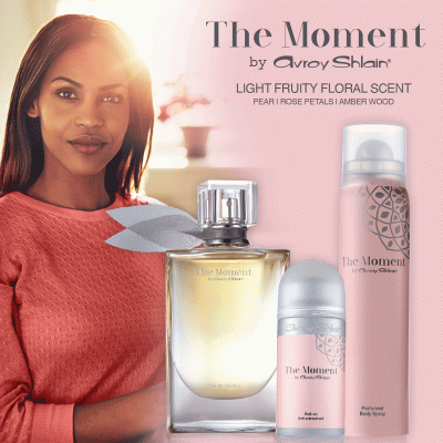 The Moment by Avroy Shlain®